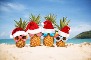 Christmas Pineapples