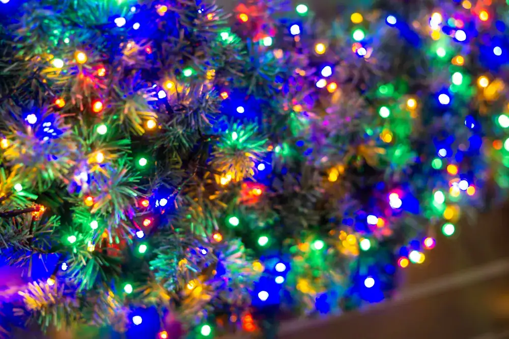 Colorful Christmas Tree Lights Bokeh Background Multicolored LED Fairy Lights on Evergreen Branches